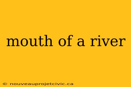 mouth of a river