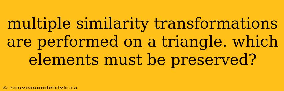 multiple similarity transformations are performed on a triangle. which elements must be preserved?