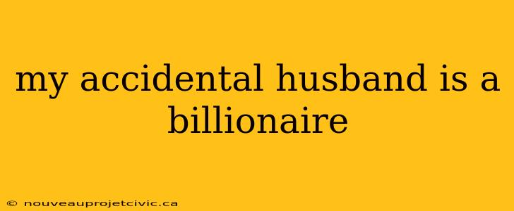 my accidental husband is a billionaire