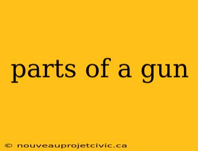 parts of a gun