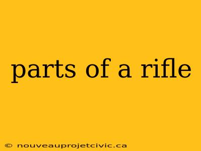 parts of a rifle