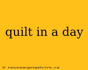 quilt in a day