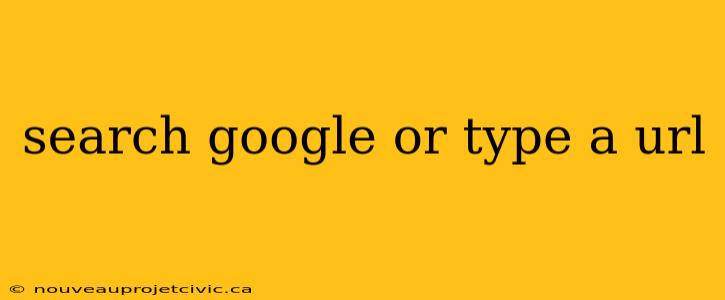 search google or type a url