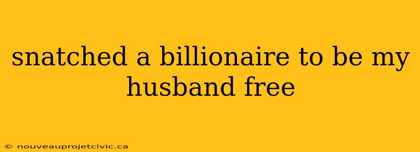 snatched a billionaire to be my husband free