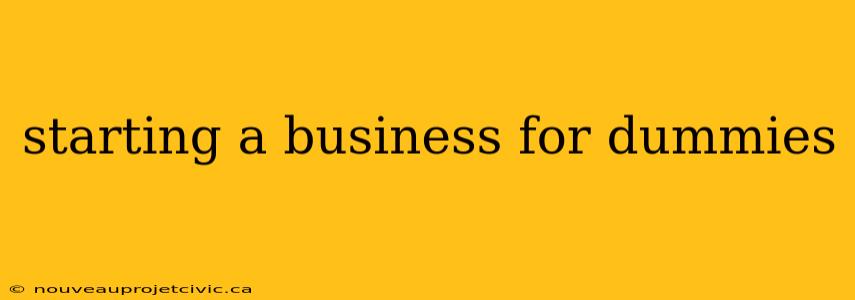 starting a business for dummies