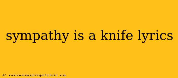 sympathy is a knife lyrics