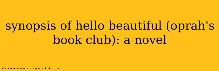 synopsis of hello beautiful (oprah's book club): a novel