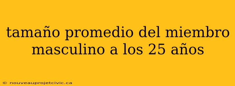 tamaño promedio del miembro masculino a los 25 años