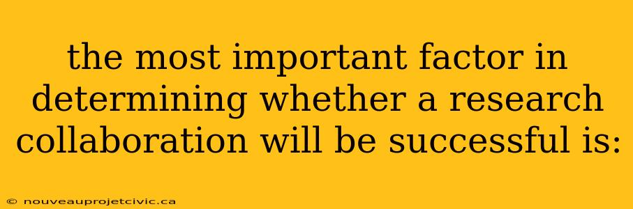 the most important factor in determining whether a research collaboration will be successful is: