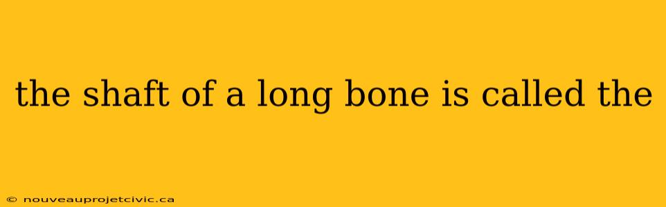 the shaft of a long bone is called the