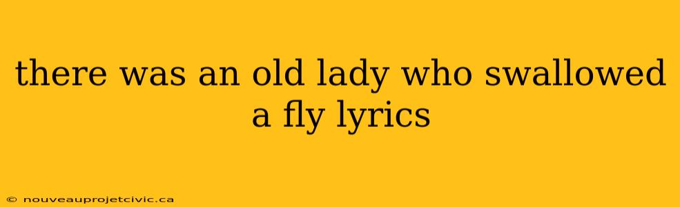 there was an old lady who swallowed a fly lyrics