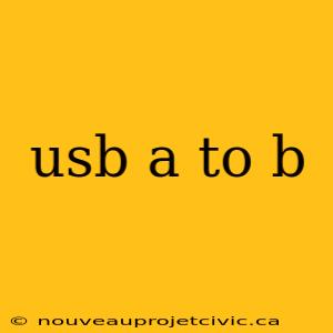 usb a to b