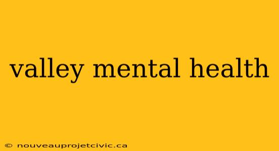 valley mental health