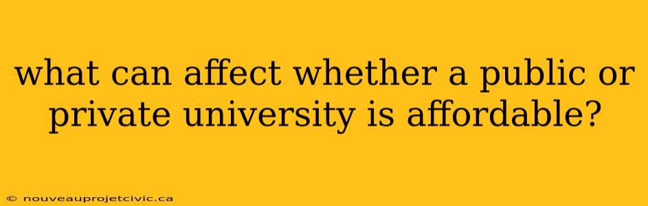 what can affect whether a public or private university is affordable?