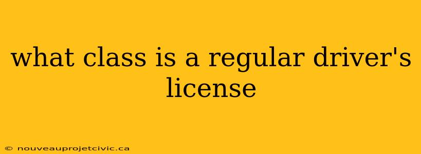 what class is a regular driver's license