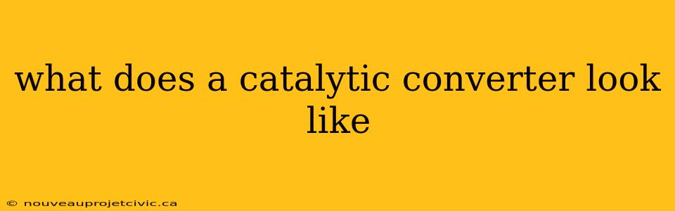 what does a catalytic converter look like