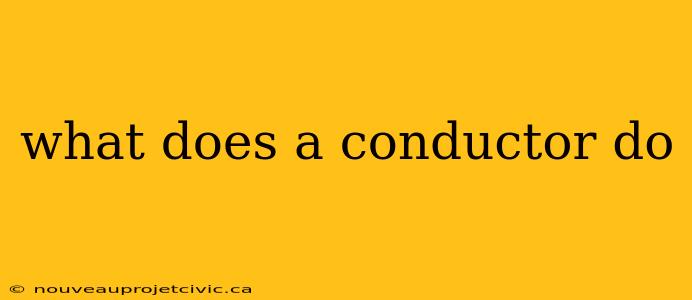 what does a conductor do