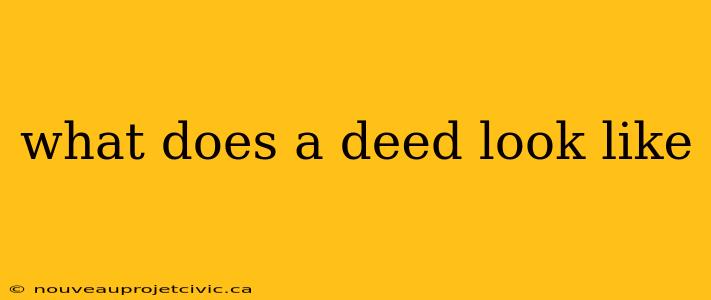 what does a deed look like