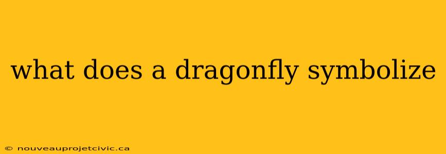 what does a dragonfly symbolize