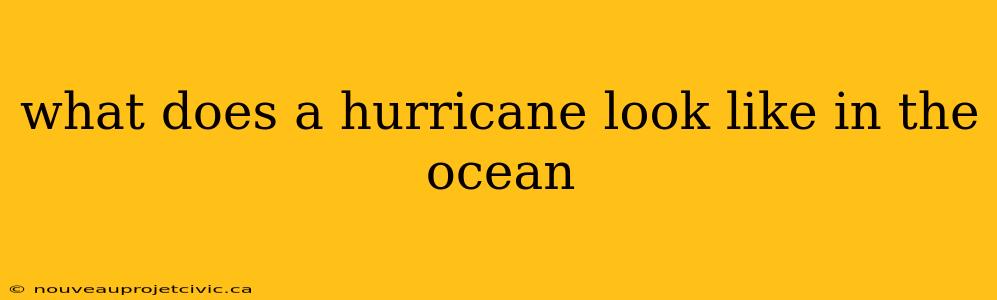 what does a hurricane look like in the ocean