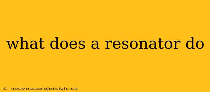 what does a resonator do