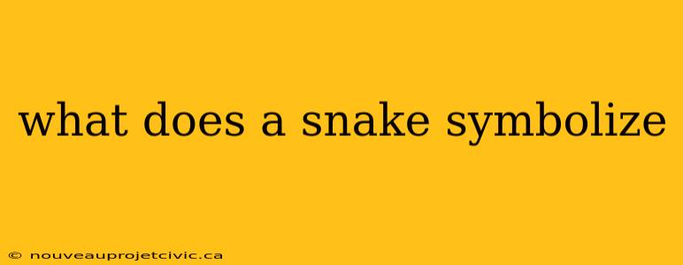 what does a snake symbolize