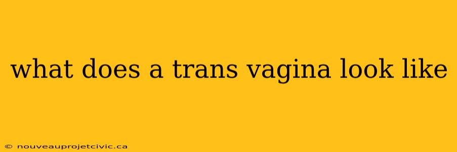 what does a trans vagina look like