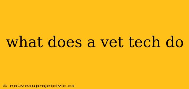 what does a vet tech do