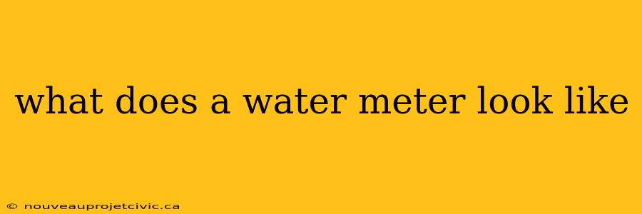 what does a water meter look like