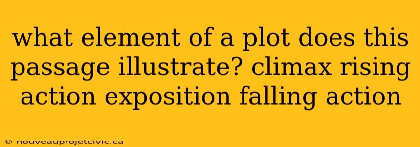 what element of a plot does this passage illustrate? climax rising action exposition falling action