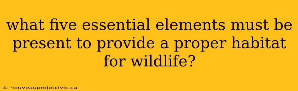 what five essential elements must be present to provide a proper habitat for wildlife?