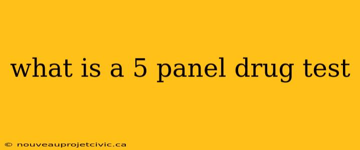 what is a 5 panel drug test