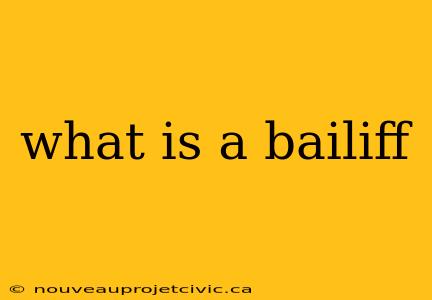 what is a bailiff