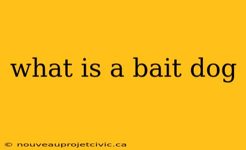 what is a bait dog