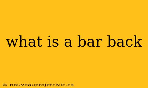 what is a bar back