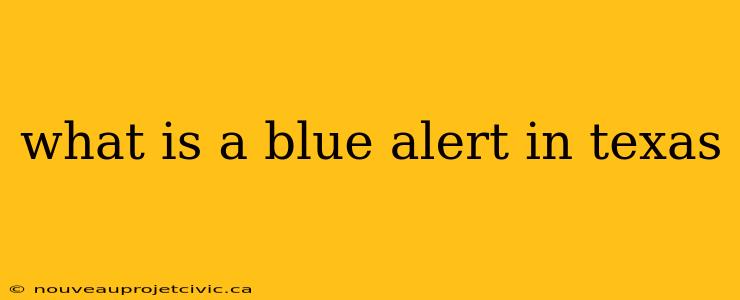 what is a blue alert in texas