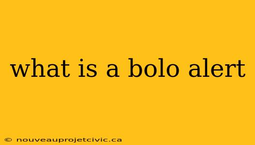 what is a bolo alert