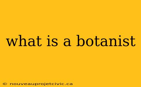 what is a botanist