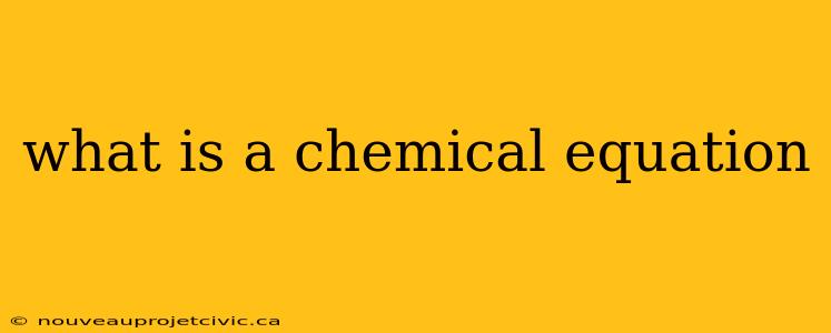 what is a chemical equation