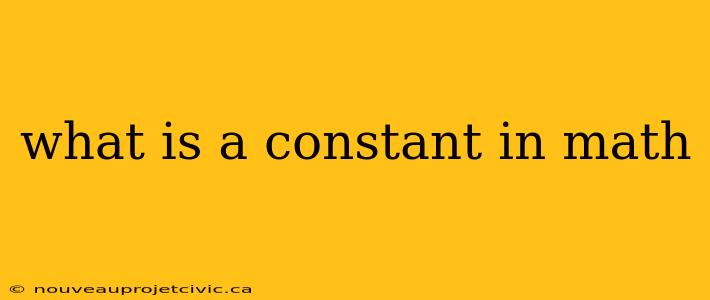 what is a constant in math