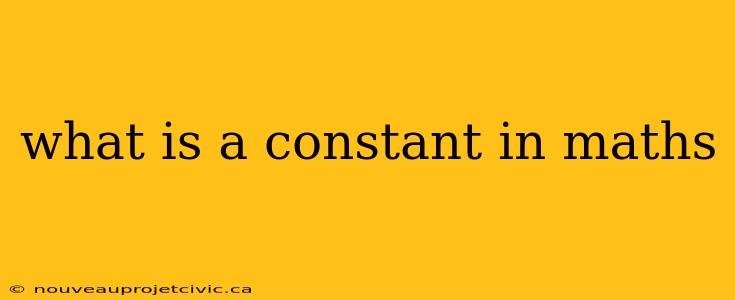 what is a constant in maths