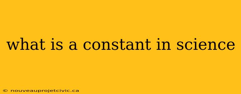 what is a constant in science