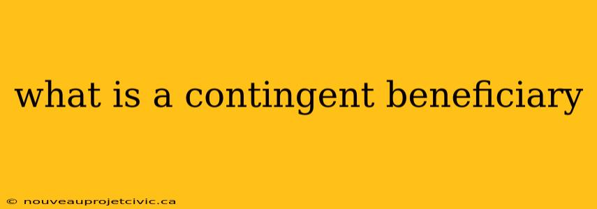 what is a contingent beneficiary