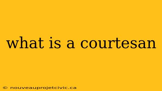 what is a courtesan