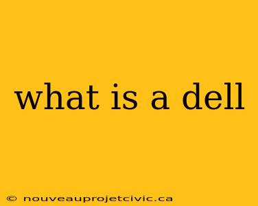 what is a dell