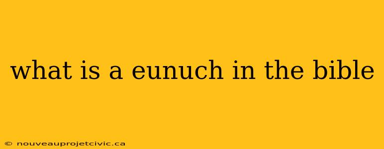 what is a eunuch in the bible