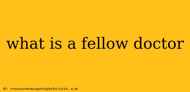 what is a fellow doctor