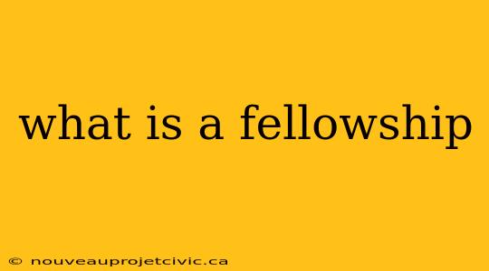 what is a fellowship