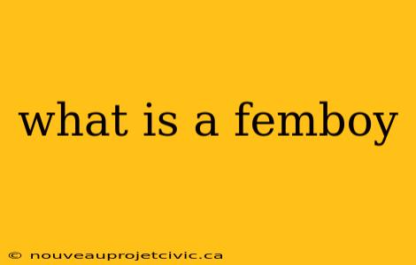 what is a femboy