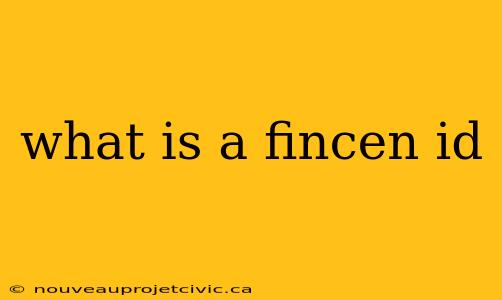 what is a fincen id